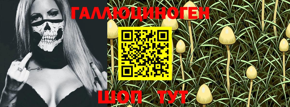 Псилоцибиновые грибы GOLDEN TEACHER  Вход с VPN  Ростов-на-Дону  Галлюциногенные грибы GOLDEN TEACHER 